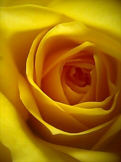 080313_1533~00021.jpg