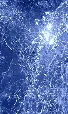 CA3B0644.jpg